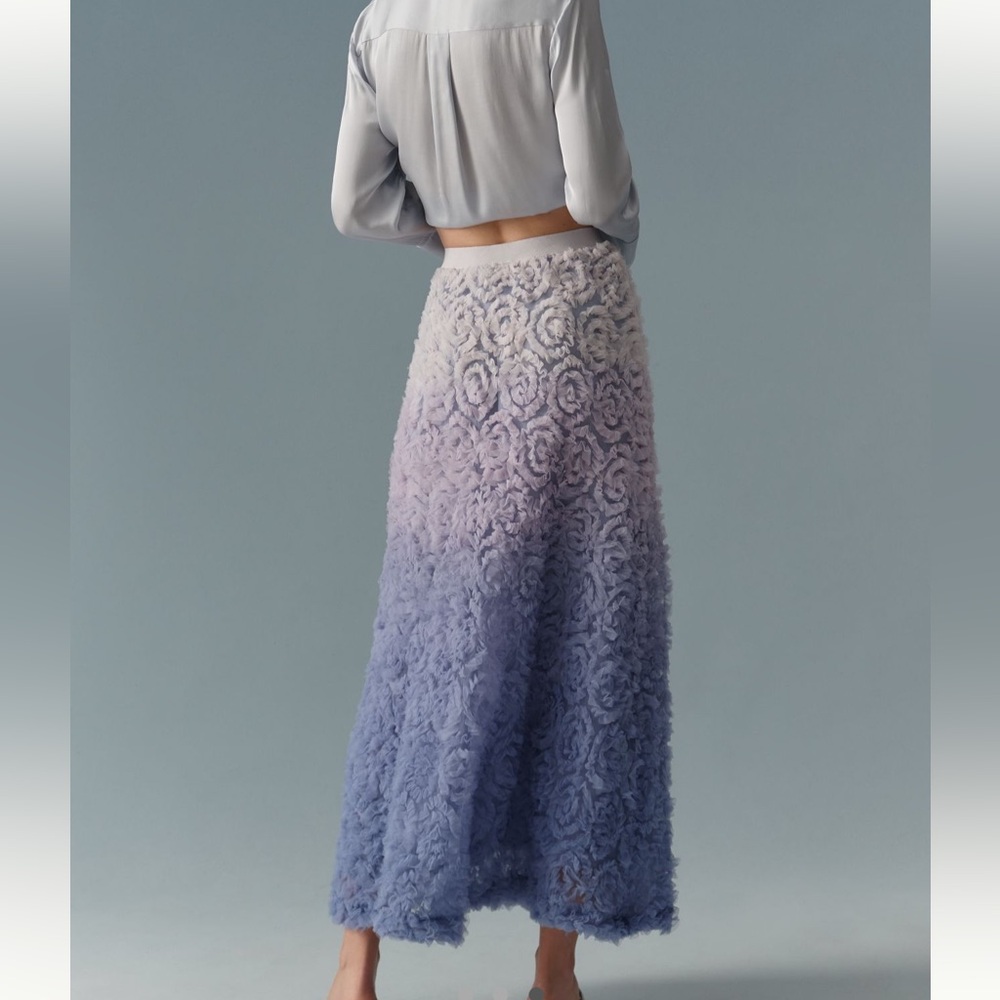 NWT By Anthropologie Ombré Scattered Tulle Midi Skirt